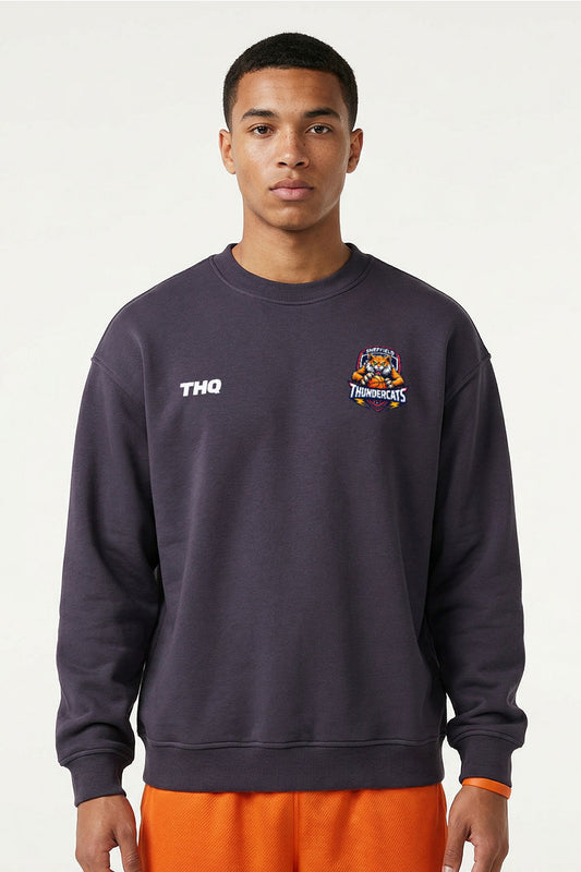 Athlete wearing a navy sweatshirt with a THQ logo and Thundercats logo on a white background