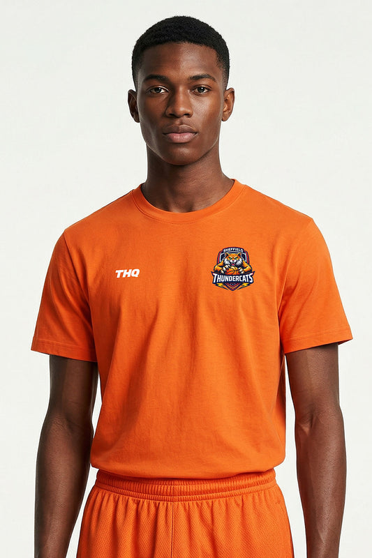 Athlete wearing an orange cotton T-shirt with a THQ logo and Thundercats logo on a white background